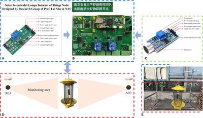 Insecticidal counting dataset based on one solar insecticidal lamp and two cameras